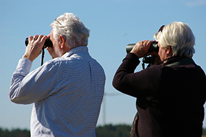 Birding-By-The-River