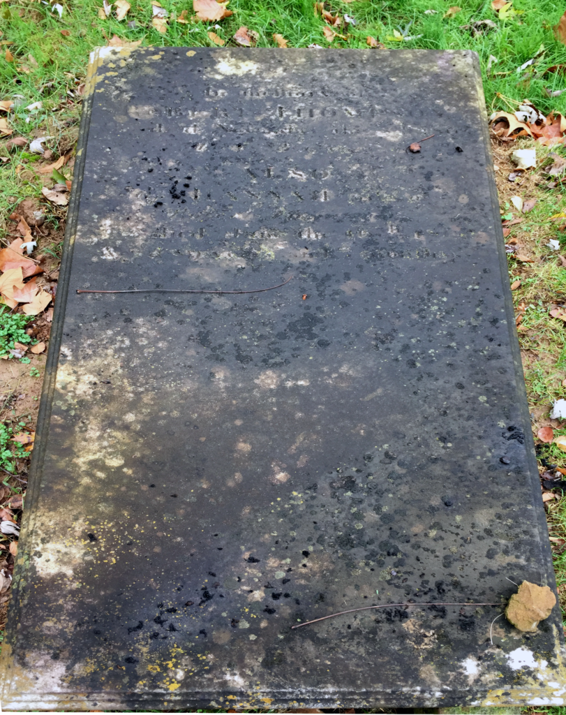 Thompson grave before cleaning